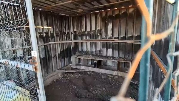 Osmaniye'de Hobi Bahçesinden 25 Güvercin Çalan Çocuklar Güvenlik Kamerasında