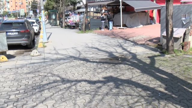 Kadıköy'de Kargo Aracının Ezdiği Mahallenin Maskotu Köpek Öldü