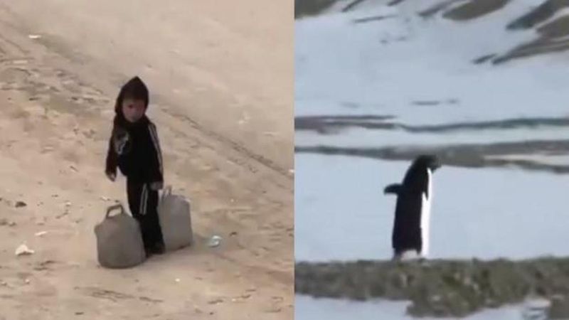 Gazze'deki Çocukların Zorlu Yaşam Mücadelesi ve Sağlık Sisteminin Çöküşü