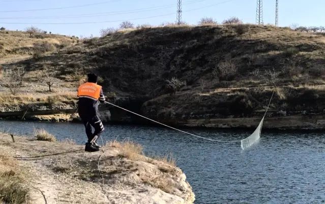 Yavuzeli'nde Ağla Avlanan Kişi Jandarma Tarafından Yakalandı
