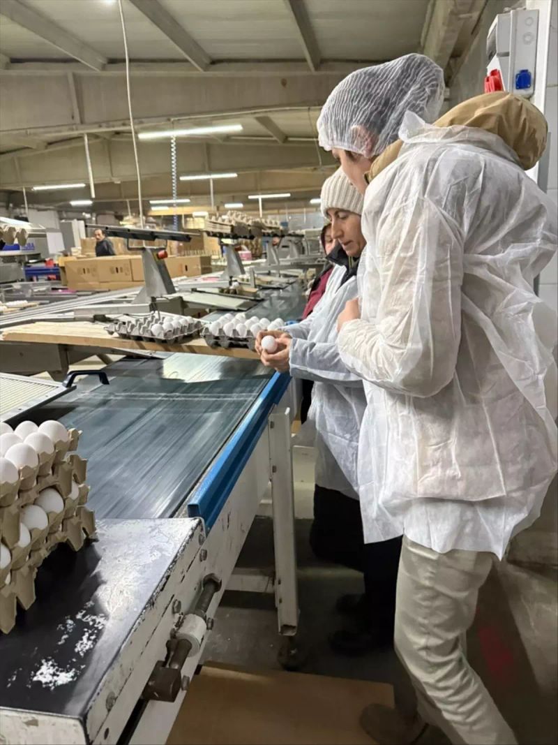 Çorum'da Ramazan Öncesi Gıda Denetimleri Yoğunlaştırıldı