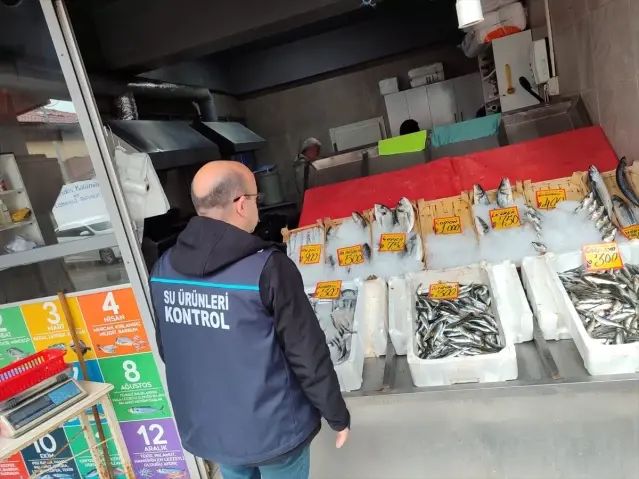 Edirne'de Su Ürünleri Denetimleri Aralıksız Devam Ediyor