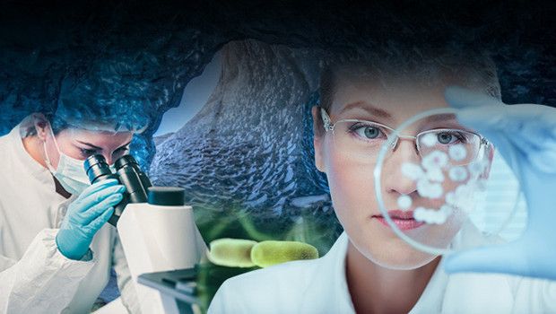 Romanya’daki 5 Bin Yıllık Bakteri Modern Antibiyotiklere Direnç Gösteriyor