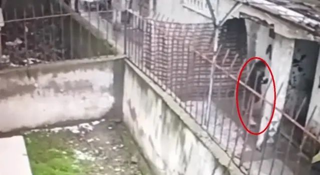 Kayseri'de 3 Evden Hırsızlık Yapan 4 Şüpheli Tutuklandı