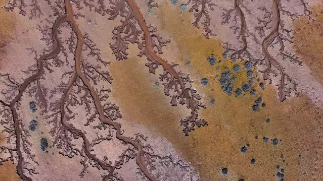 Tuzla Palas Gölü'nde Suların Oluşturduğu Ağaç Dalı İzleri Drone ile Görüntülendi