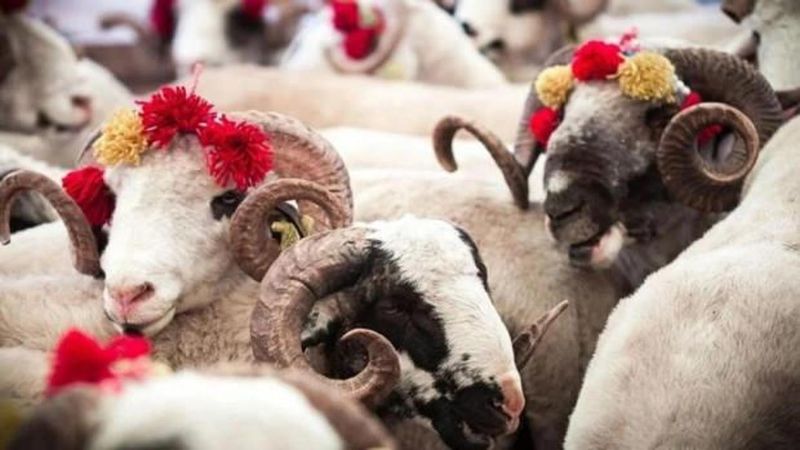 2026 Kurban Bayramı Ne Zaman ve Tatil Süresi Kaç Gün Olacak?