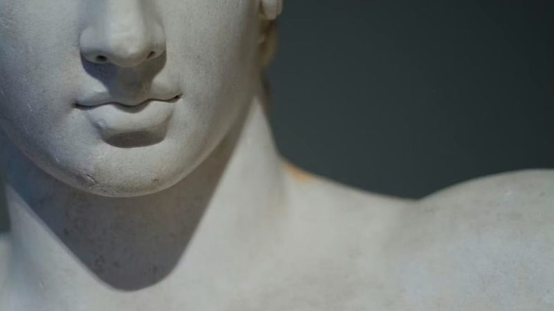 İnsan Çenesinin Evrimi: Doğal Seçilimden Çok Yan Ürün