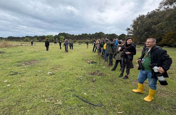 Manavgat'ta Antalya Kuş Gözlem Kampı'nda 120'den Fazla Tür Kaydedildi