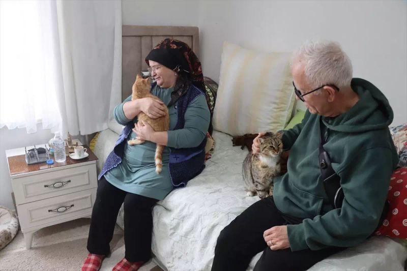 Doktor Tavsiyesiyle Başlayan Kedi Sevgisi 40 Kedilik Yuvaya Dönüştü