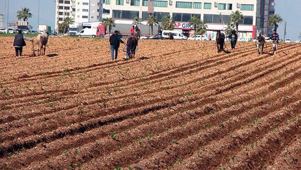 Elif Su Uludağ’da Geleneksel Yöntemle Patates Tarlasında Yabani Ot Temizliği Tepki Çekti