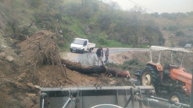 Aydın'da Yoğun Sağanak: İstinat Duvarı Çöktü, Evler ve Yollar Sular Altında Kaldı