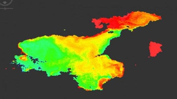 Van Gölü'nün Derinliklerinde Süregelen Devasa Ekosistem İşleyişi
