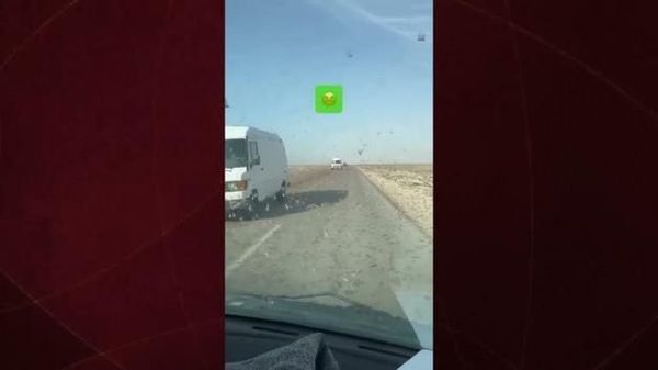 Fas'ta Otoyolu Kaplayan Milyonlarca Çekirge Sürüleri Sürücülere Zor Anlar Yaşattı