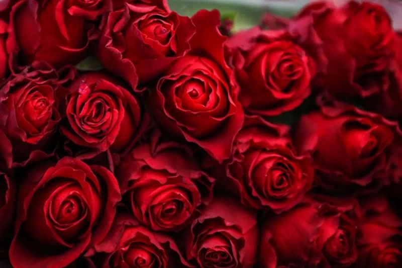 Karim Benzema'nın 2023 Sevgililer Günü Jestleri Yeniden Gündemde