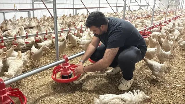 Muğlalı Genç Girişimci Hüseyin Kaan Işık, Tavukçulukta Büyüme Hedefliyor