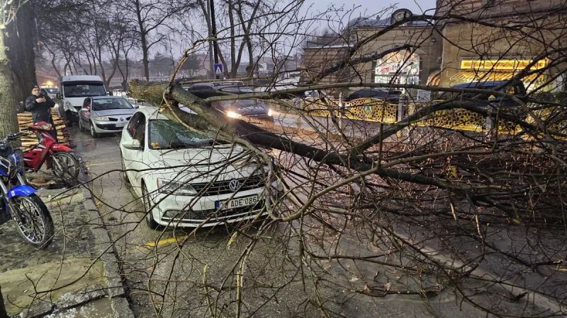 Edirne'deki Fırtına Ağaçların Devirmesine ve Araç Hasarlarına Yol Açtı