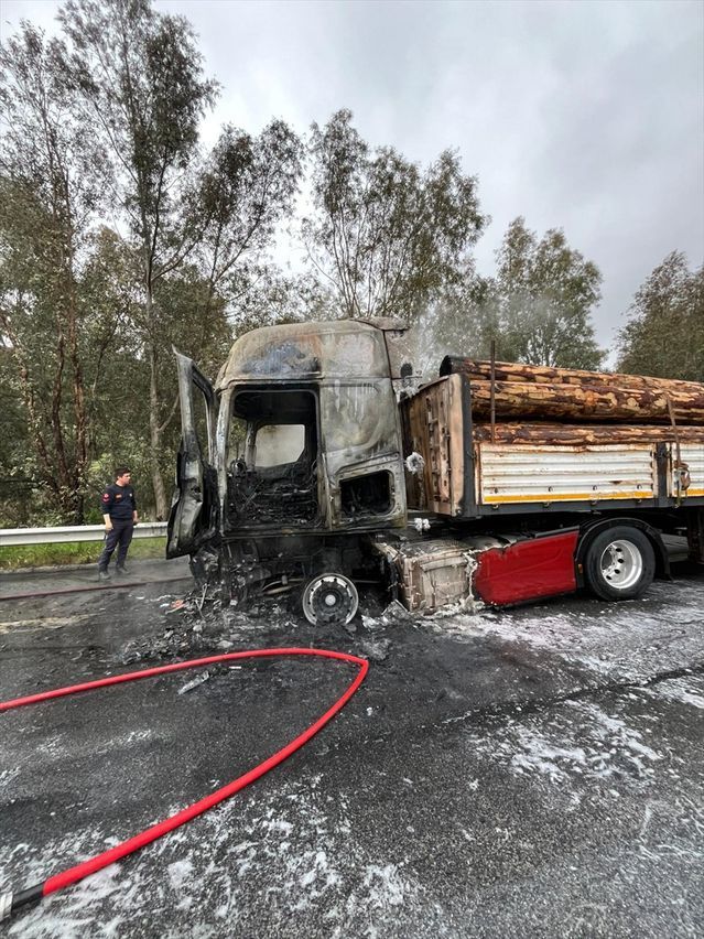 Aydın'da Tomruk Yüklü Tırda Çıkan Yangın Kontrol Altına Alındı