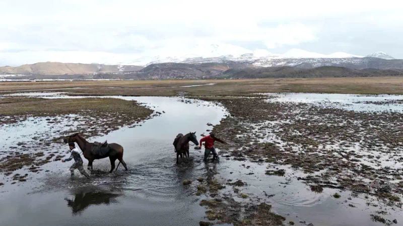 Kayseri'de At Safari Gezisi Suda Sonlandı, O Anlar Drone ile Kaydedildi
