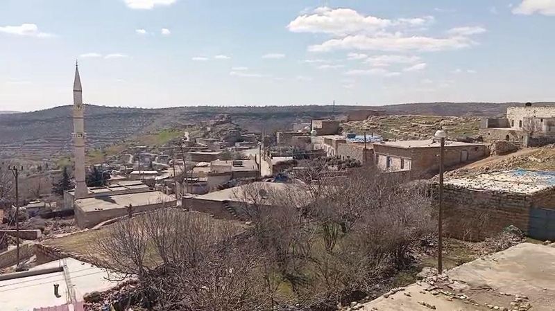 Mardin'deki Kaynakkaya Mahallesi Karantinaya Alındı, Kuduz Şüphesi Araştırılıyor