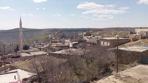 Mardin'deki Kaynakkaya Mahallesi Karantinaya Alındı, Kuduz Şüphesi Araştırılıyor