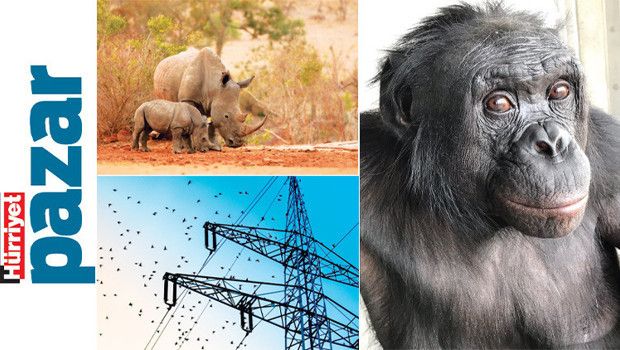 Tehditlerle Mücadelede Yeni Keşifler Öne Çıkıyor