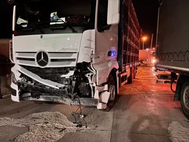 Afyonkarahisar Sinanpaşa'da Tır ile Ticari Araç Çarpıştı: 1 Ölü, 1 Yaralı