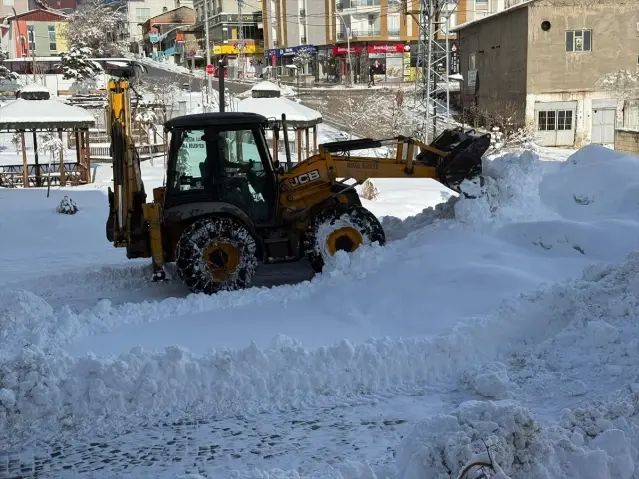 Van, Hakkari ve Bitlis'te Kar Nedeniyle 103 Yerleşim Yeri Ulaşıma Kapandı