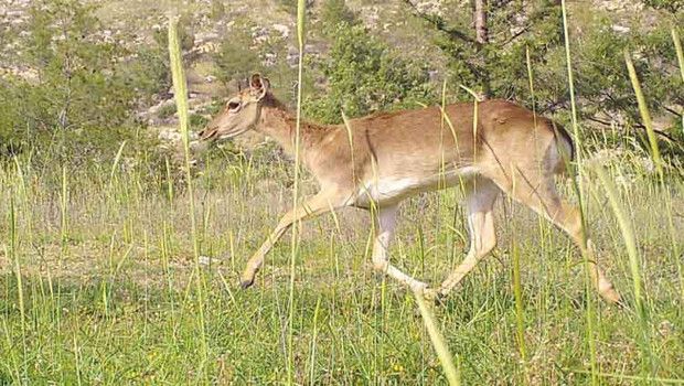 Milli Parklarda Turistik Tesislere Yeni Düzenlemeler Getirildi