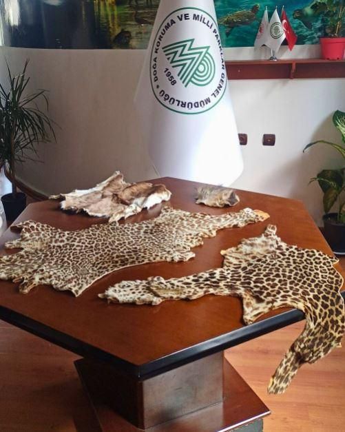 Çukurova Havalimanı'nda Yasa Dışı Yaban Hayvanı Ürünleri Yakalandı