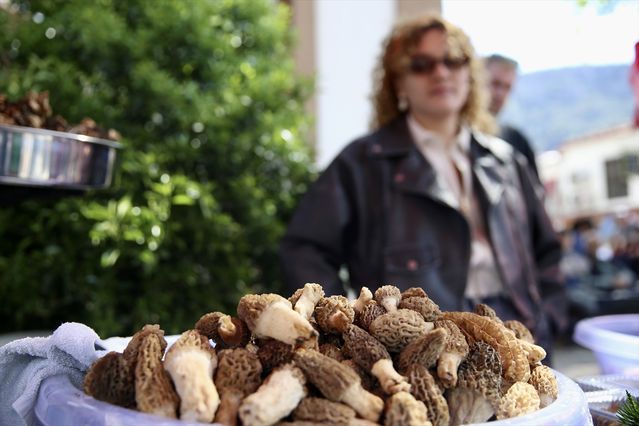 Fethiye’de 15. Dastar ve Kuzugöbeği Mantar Festivali Başladı