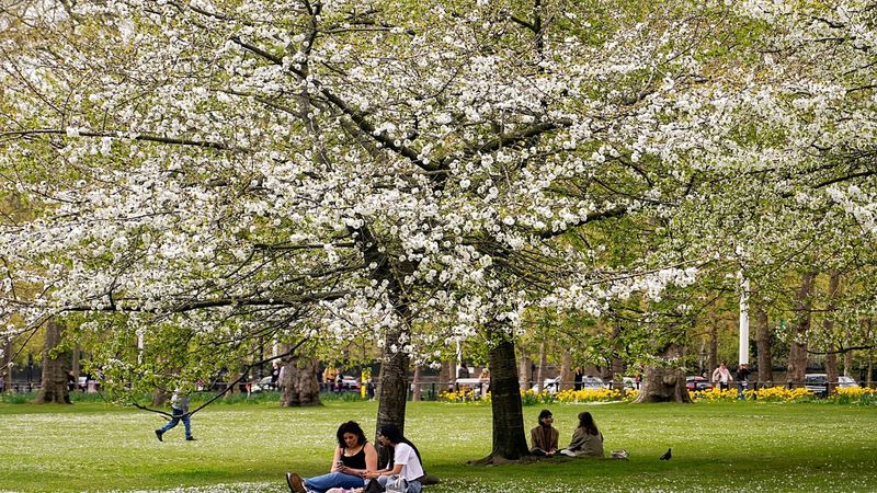 Polen Mevsimi Uzuyor: Alerjilerden Korunmanın Yolları