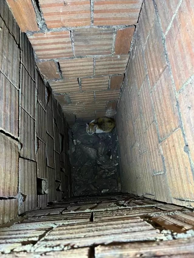 Erzincan'da Havalandırma Boşluğuna Düşen Kedi İtfaiye Ekiplerince Kurtarıldı