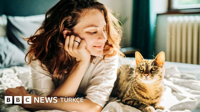 Kedilerdeki Kanser Genetiği İnsan Tedavisi İçin Yeni Kapılar Açıyor