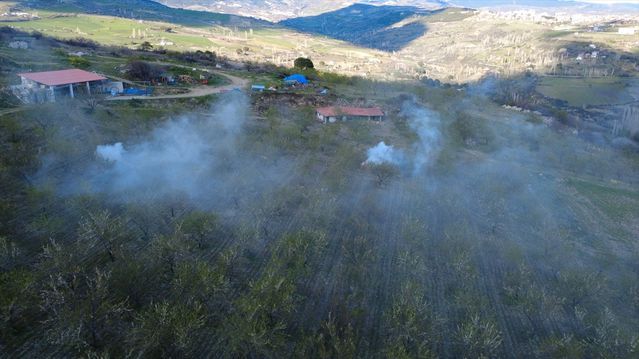 Demirci'de Badem Üreticileri Zirai Don Tehlikesine Karşı Dumanlama Yöntemiyle Mücadele Ediyor