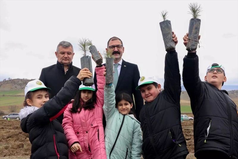 Taşköprü'de Öğrenciler Dünya Ormancılık Haftası'nda Fidan Dikti