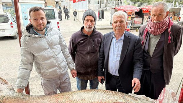 Diyarbakır'da Yakalanan 120 Kiloluk Dev Turna Balığı İlgi Gördü