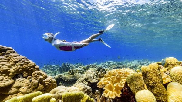 Solomon Adaları’nda Turizm Hızla Canlanıyor: 2025 Yılı Rekor Ziyaretçi Sayısı