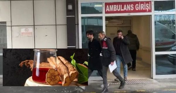 Yusuf Güney'in Cezaevine Girmesine Neden Olan Ayahuasca Çayı ve İçeriği