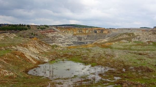 Kütahya Tavşanlı'da Su Baskını: Ev ve Ahır Sulara Kapıldı, Hayvan Telef Oldu