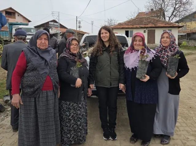 Eflani'de Vatandaşlara 2 Bin Fidan Dağıtıldı