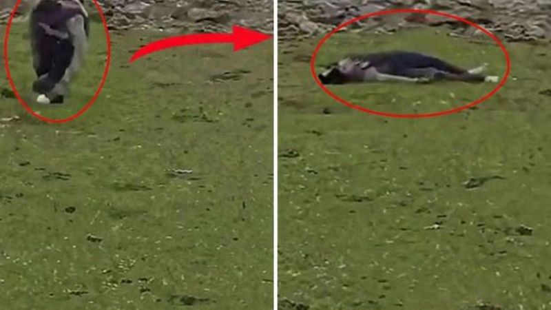 İsrail Ordusu Kuneytra'da Sivillere Ateş Açtı, Suriye'de Baskın Düzenledi