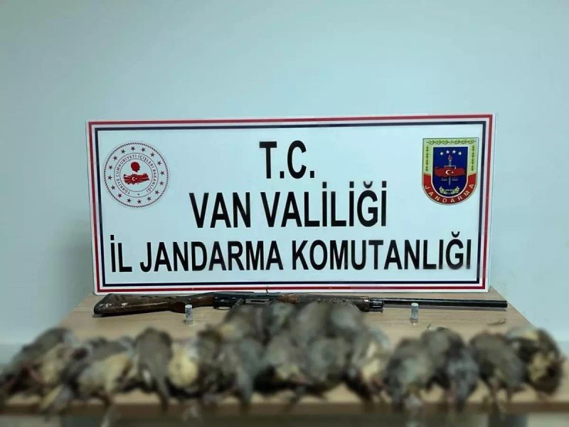 Van'da Kaçak Avcılığa 87 Bin TL Ceza; Araçta 17 Ölü Kınalı Keklik Bulundu