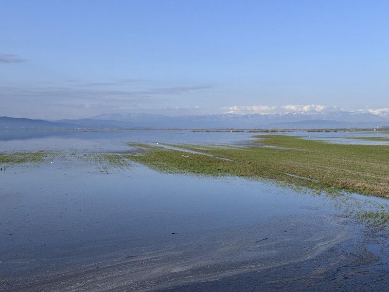 Kahramanmaraş Türkoğlu'nda Şiddetli Yağış Tarım Arazilerini Sular Altında Bıraktı