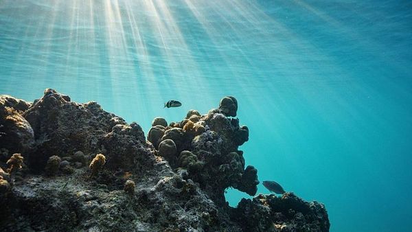 Vanuatu'nun İklim Tazminatı Girişimi ABD Sanayisi İçin Tehdit Olarak Görülüyor