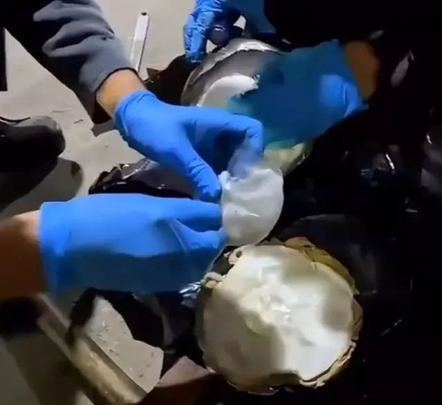 Ağrı'da TIR'da 8,3 Kilogram Metamfetamin Yakalandı