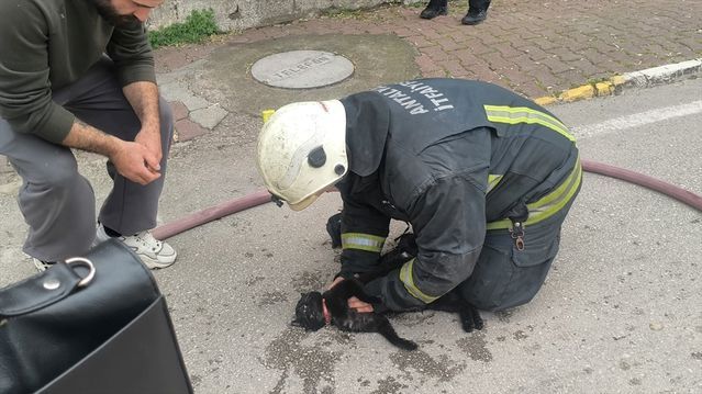 Antalya'da Yangında Baygın Kalan Kediye İtfaiyeden Kalp Masajı