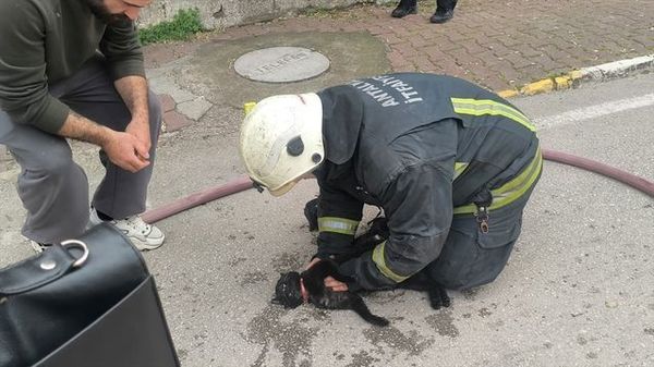 Antalya'da Yangında Baygın Kalan Kediye İtfaiyeden Kalp Masajı