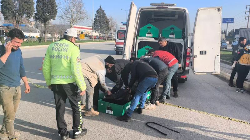 Kahramanmaraş'ta TIR Çarpması Sonucu Yaya Yaşamını Yitirdi