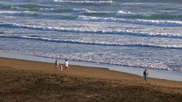 27 Yıllık Kayıp Vaka, Kaliforniya'da Bir Deniz Kabuğuyla Çözüldü