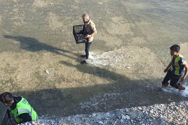 Afyonkarahisar'da Barajdaki Balıkları Yakalamak İçin Vatandaşlar Yarıştı